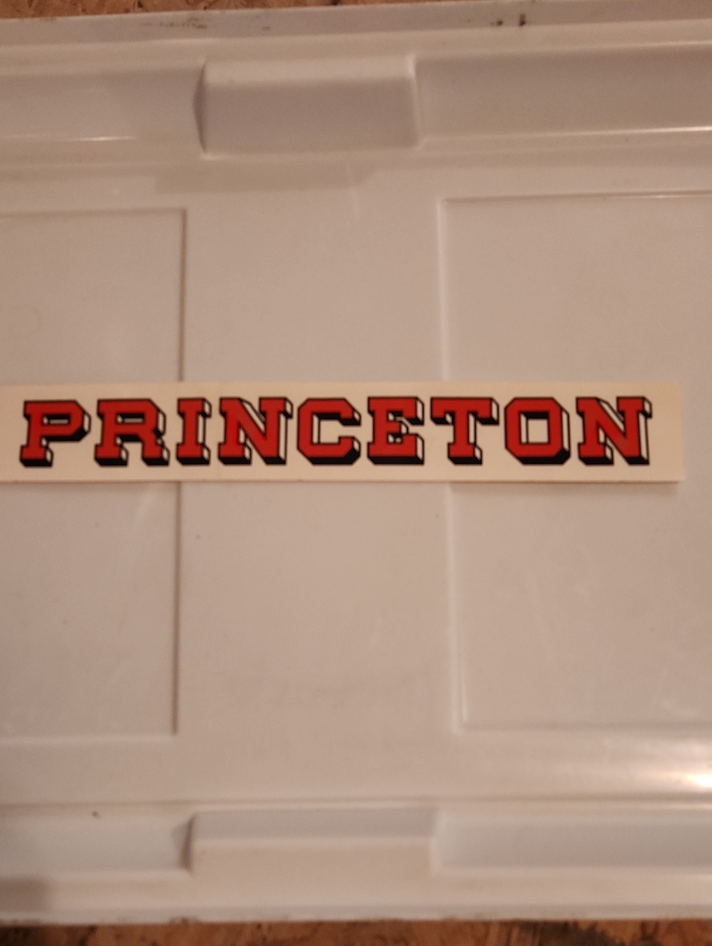 Princeton Sticker - Orange Block Letter Decal